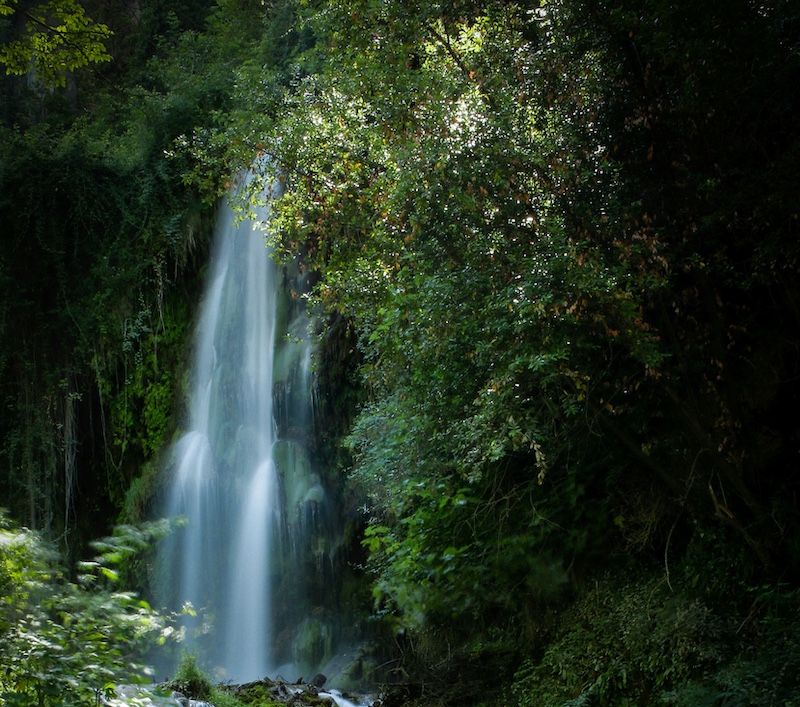 Waterfall in a forest